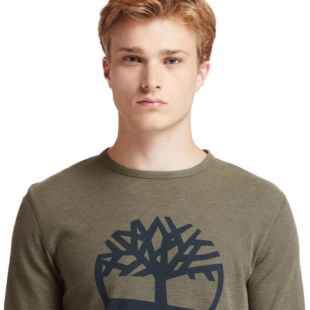 Tricouri Timberland Barbati Masline Verzi - Dyer River Slim-Fit Tree-Logo - Romania - ERYFBA508